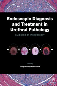 Endoscopic Diagnosis and Treatment in Urethral Pathology_cover