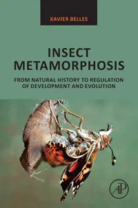 Insect Metamorphosis_cover