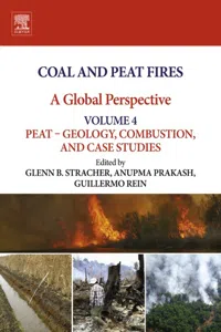 Coal and Peat Fires: A Global Perspective_cover