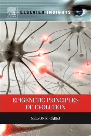 Epigenetic Principles of Evolution