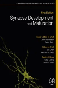 Synapse Development and Maturation_cover