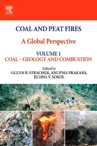 Coal and Peat Fires: A Global Perspective_cover