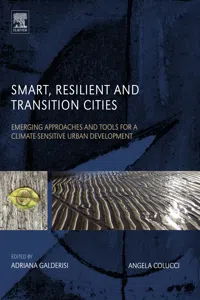 Smart, Resilient and Transition Cities_cover