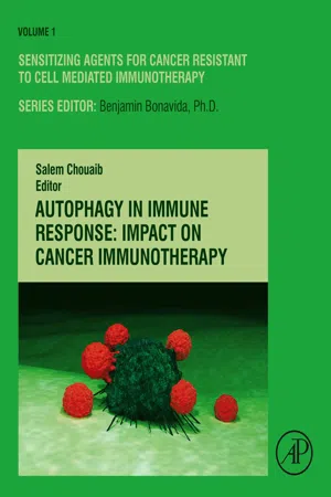 Autophagy in Immune Response: Impact on Cancer Immunotherapy