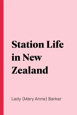 Station Life in New Zealand