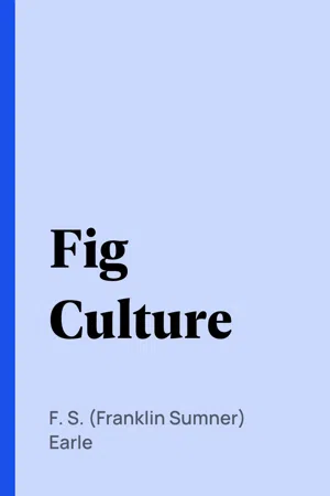 Fig Culture