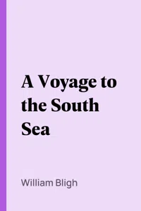 A Voyage to the South Sea_cover