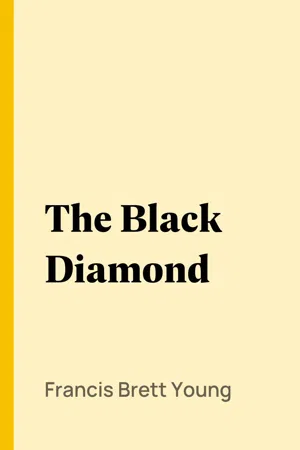 The Black Diamond