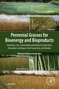 Perennial Grasses for Bioenergy and Bioproducts_cover