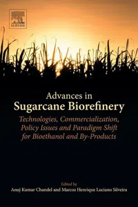 Advances in Sugarcane Biorefinery_cover