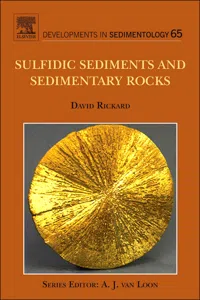 Sulfidic Sediments and Sedimentary Rocks_cover