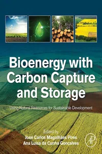 Bioenergy with Carbon Capture and Storage_cover