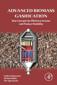 Advanced Biomass Gasification_cover