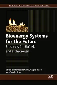 Bioenergy Systems for the Future_cover