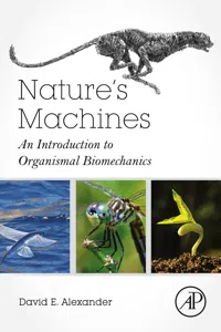 Nature's Machines_cover
