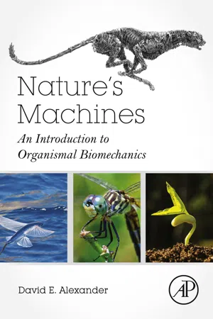 Nature's Machines