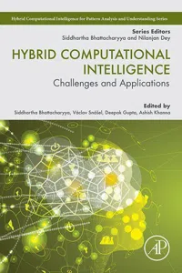 Hybrid Computational Intelligence_cover