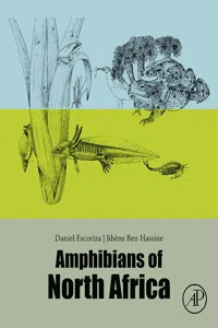 Amphibians of North Africa_cover