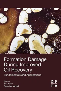 Formation Damage during Improved Oil Recovery_cover