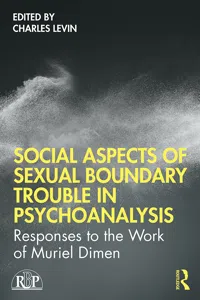 Social Aspects Of Sexual Boundary Trouble In Psychoanalysis_cover