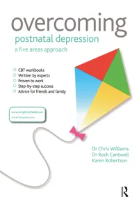 Overcoming Postnatal Depression: A Five Areas Approach_cover