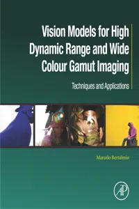 Vision Models for High Dynamic Range and Wide Colour Gamut Imaging_cover