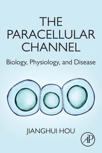 The Paracellular Channel_cover