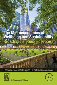 The Microeconomics of Wellbeing and Sustainability_cover