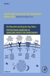 Protein Kinase Inhibitors as Sensitizing Agents for Chemotherapy_cover