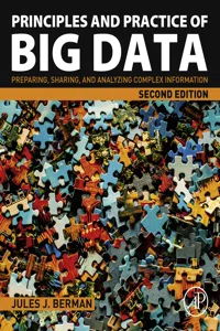 Principles and Practice of Big Data_cover