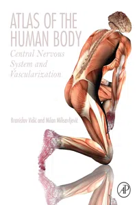 Atlas of the Human Body_cover