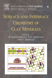 Surface and Interface Chemistry of Clay Minerals_cover