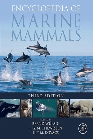 Encyclopedia of Marine Mammals