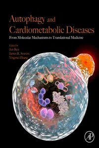 Autophagy and Cardiometabolic Diseases_cover