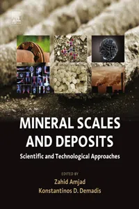 Mineral Scales and Deposits_cover