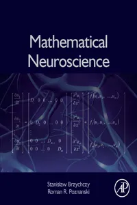 Mathematical Neuroscience_cover