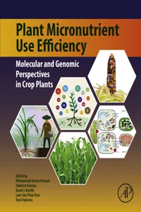 Plant Micronutrient Use Efficiency_cover