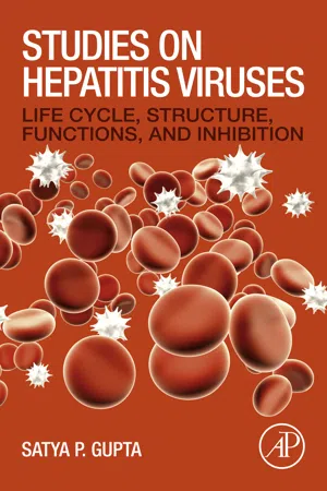 Studies on Hepatitis Viruses