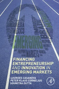 Financing Entrepreneurship and Innovation in Emerging Markets_cover