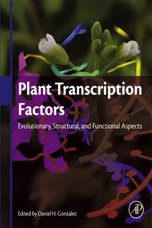 Plant Transcription Factors