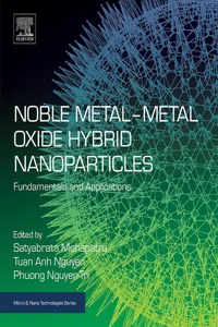 Noble Metal-Metal Oxide Hybrid Nanoparticles_cover