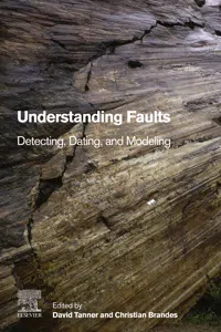 Understanding Faults_cover