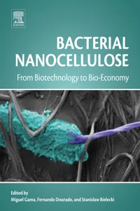 Bacterial Nanocellulose_cover