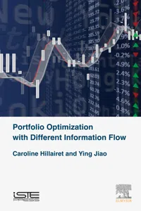 Portfolio Optimization with Different Information Flow_cover