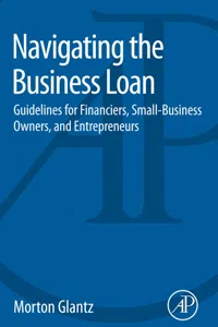 Navigating the Business Loan_cover