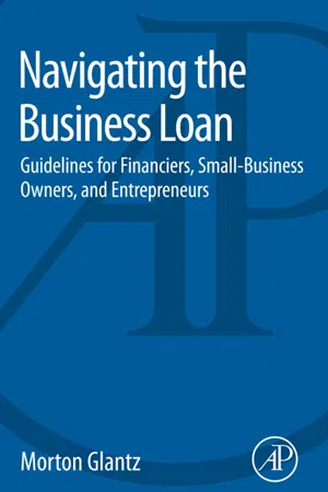 Navigating the Business Loan