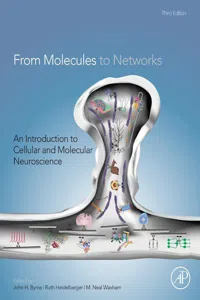 From Molecules to Networks_cover