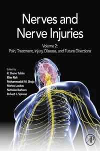 Nerves and Nerve Injuries_cover