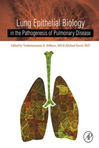 Lung Epithelial Biology in the Pathogenesis of Pulmonary Disease_cover