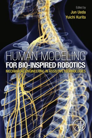 Human Modeling for Bio-Inspired Robotics